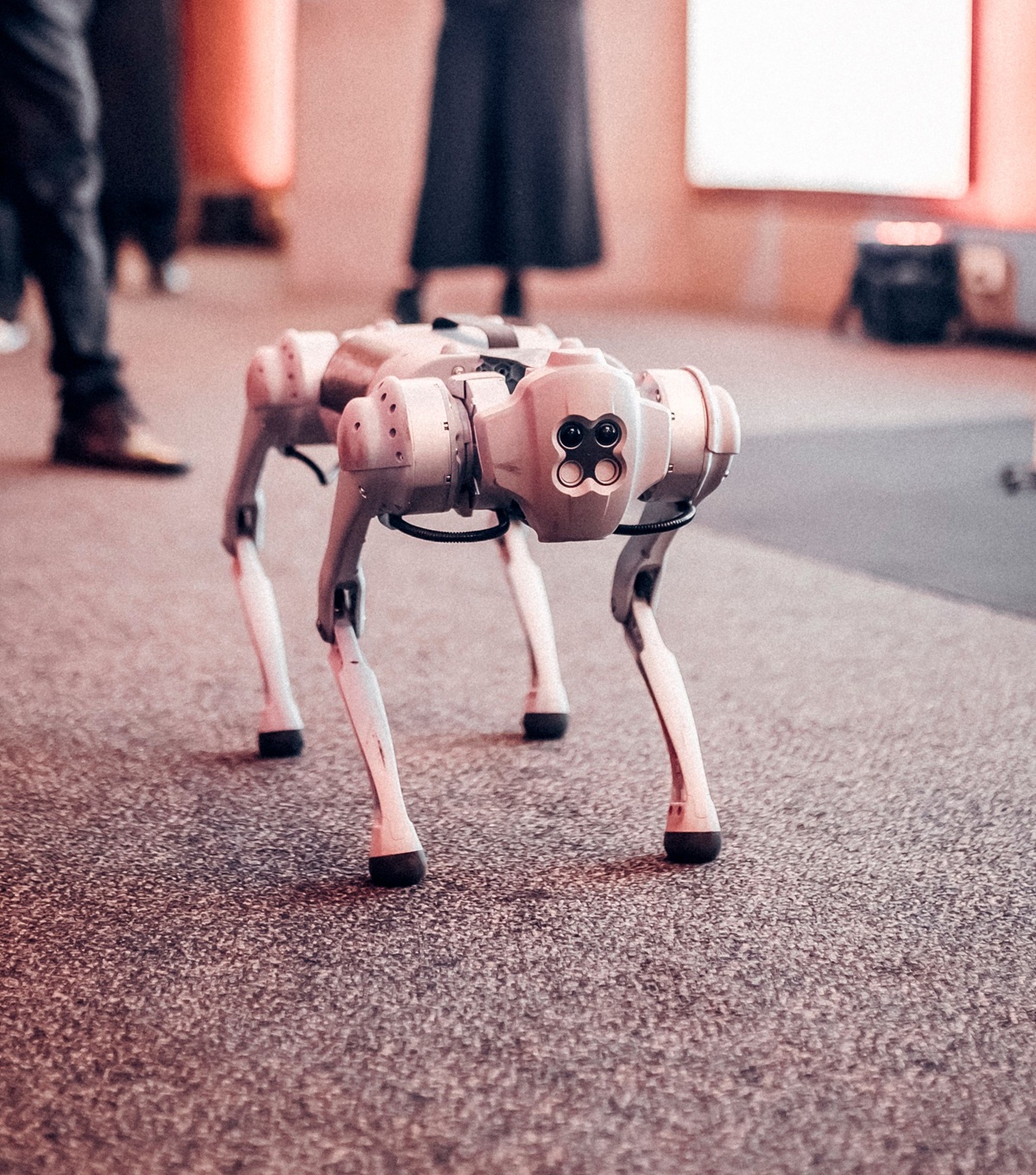 A quadruped robot being tested in a robotics lab